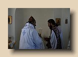 P1100630 (Medium)